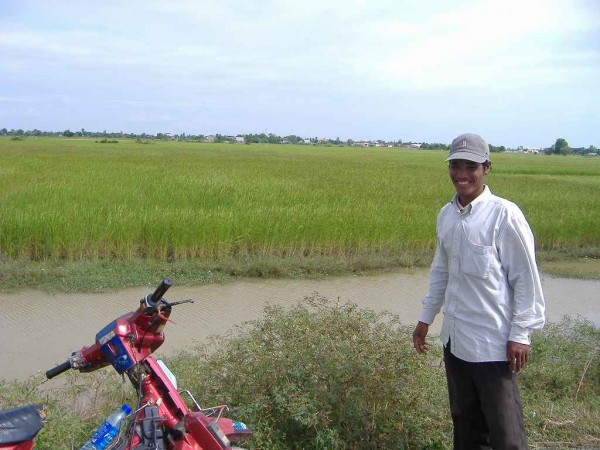 Rice fields behind my driver