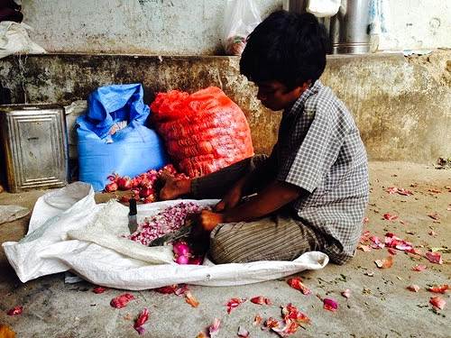 A boy cutting onions for his father's railway side restaurant in Paderu, Araku Valley, Andhra Pradesh. He had a small puppy to keep him company while he went about doing this mundane job.