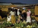 photo credit: World Bank Photo Collection