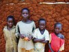 ルワンダで農業開発－聞こえは良いが誰が農業を営むのか？