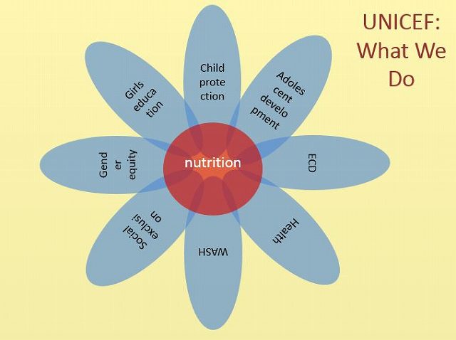 UNICEF What we do