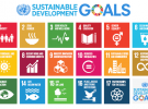 Do the SDGs Signal Revolution or Evolution?