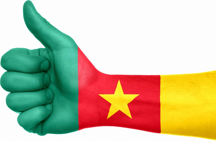 Cameroon Flag