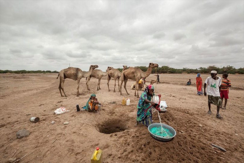 Photograph: UN News