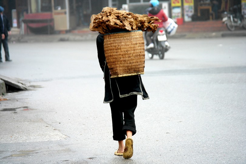 Worker, Vietnam