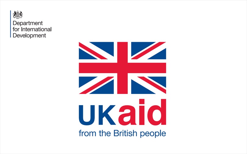 DFID Logo