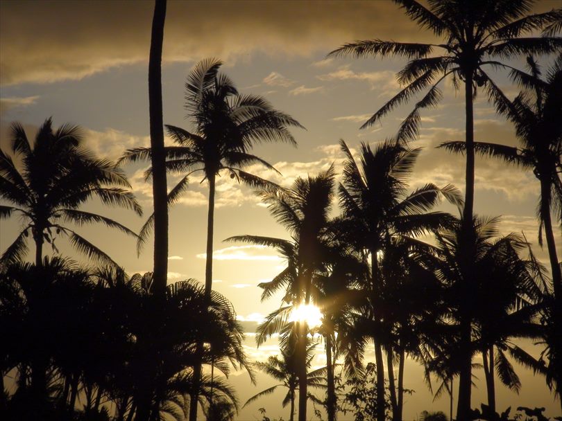 Fiji Sunset