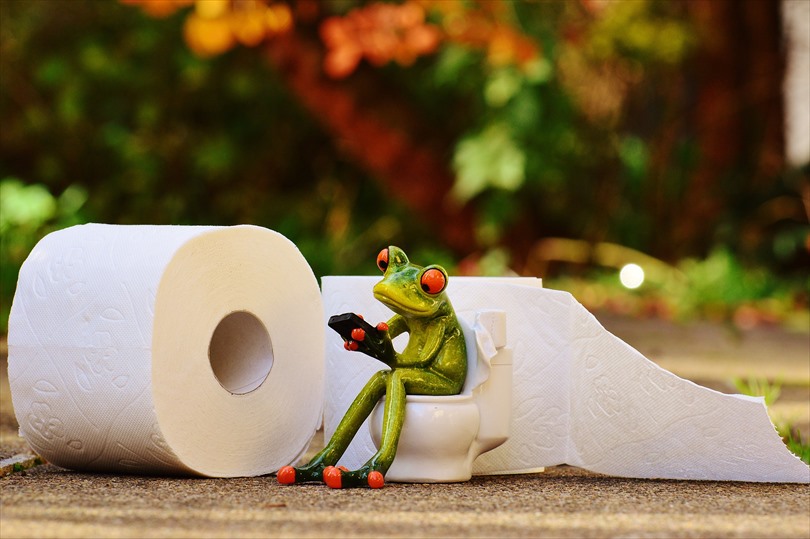 Frog Toilet