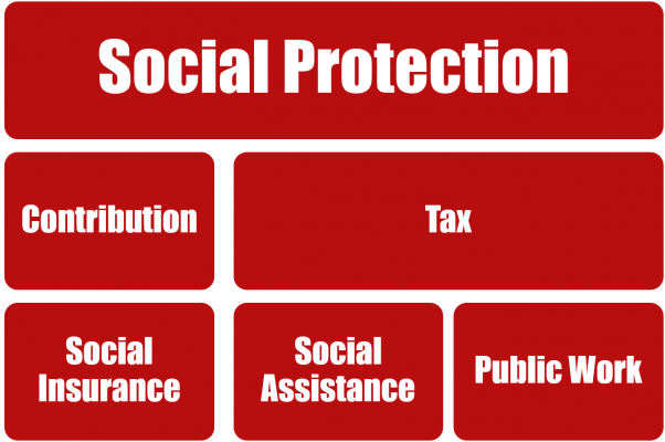 Social Protection Structure